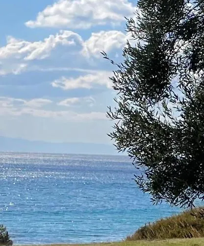 Mola Papaya Apartmán