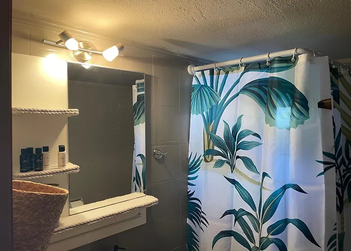 Apartmán Mola Papaya