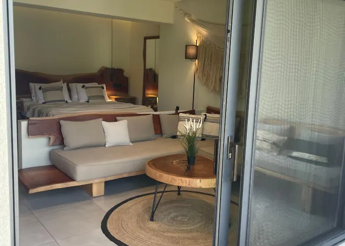 Mola Papaya Mola Kalyva