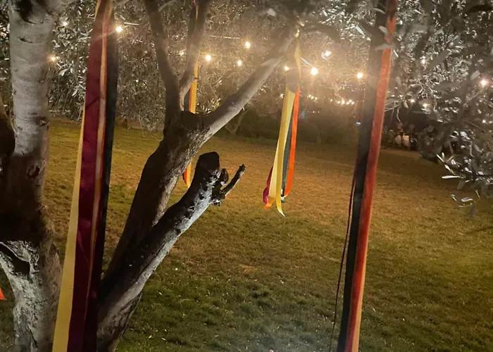 Mola Papaya Apartmán