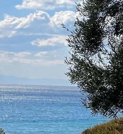 Mola Papaya Διαμέρισμα
