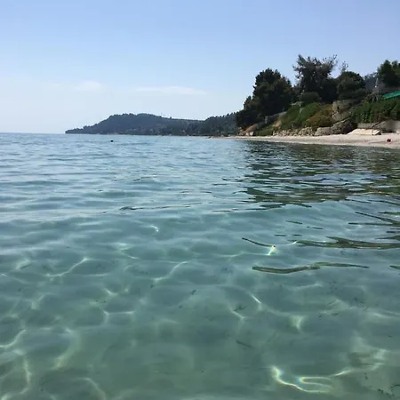 Mola Papaya * Mola Kalyva