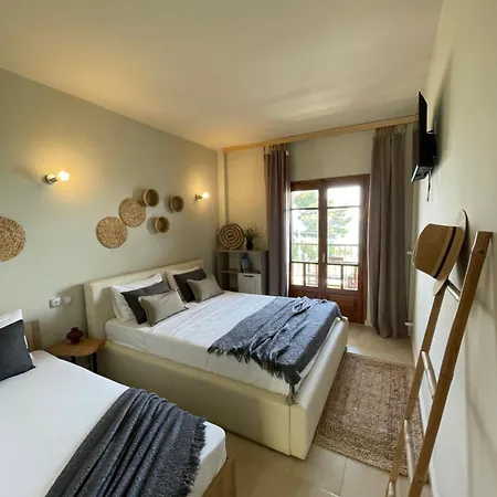 Mola Papaya מולה קליבה