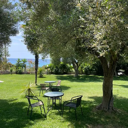 Mola Papaya Mola Kalyva