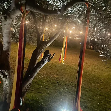 Mola Papaya Appartement