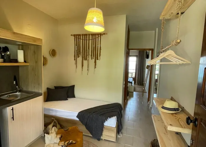 Apartament Mola Papaya
