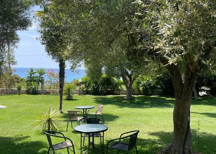 Mola Papaya Mola Kalyva