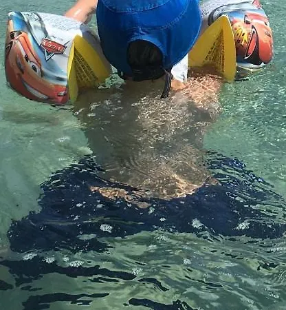 Mola Papaya Daire