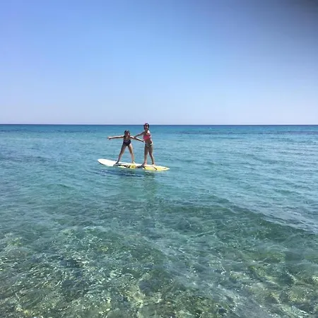 Mola Papaya Daire Mola Kalyva